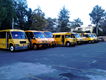 Transportes Escolares Alvarado